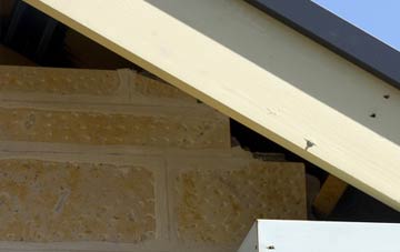 soffit repair Derry Downs